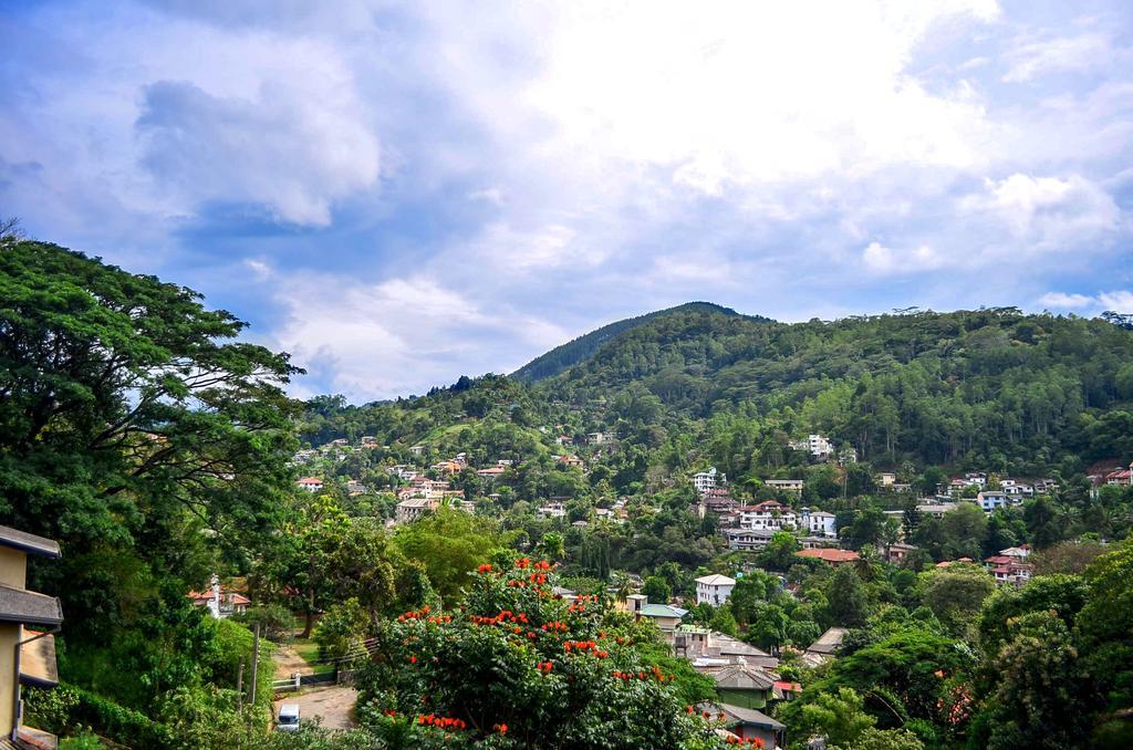 Villa Nine Kandy Zewnętrze zdjęcie