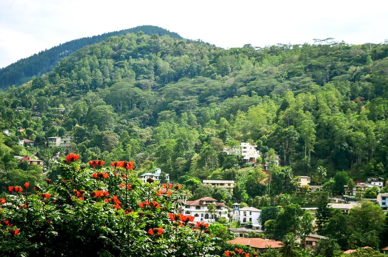 Villa Nine Kandy Zewnętrze zdjęcie