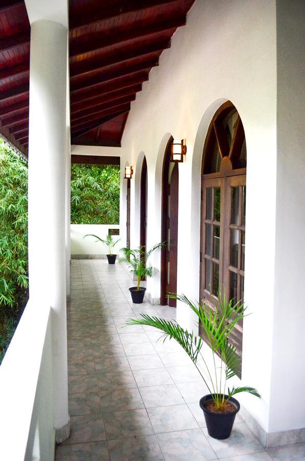 Villa Nine Kandy Zewnętrze zdjęcie